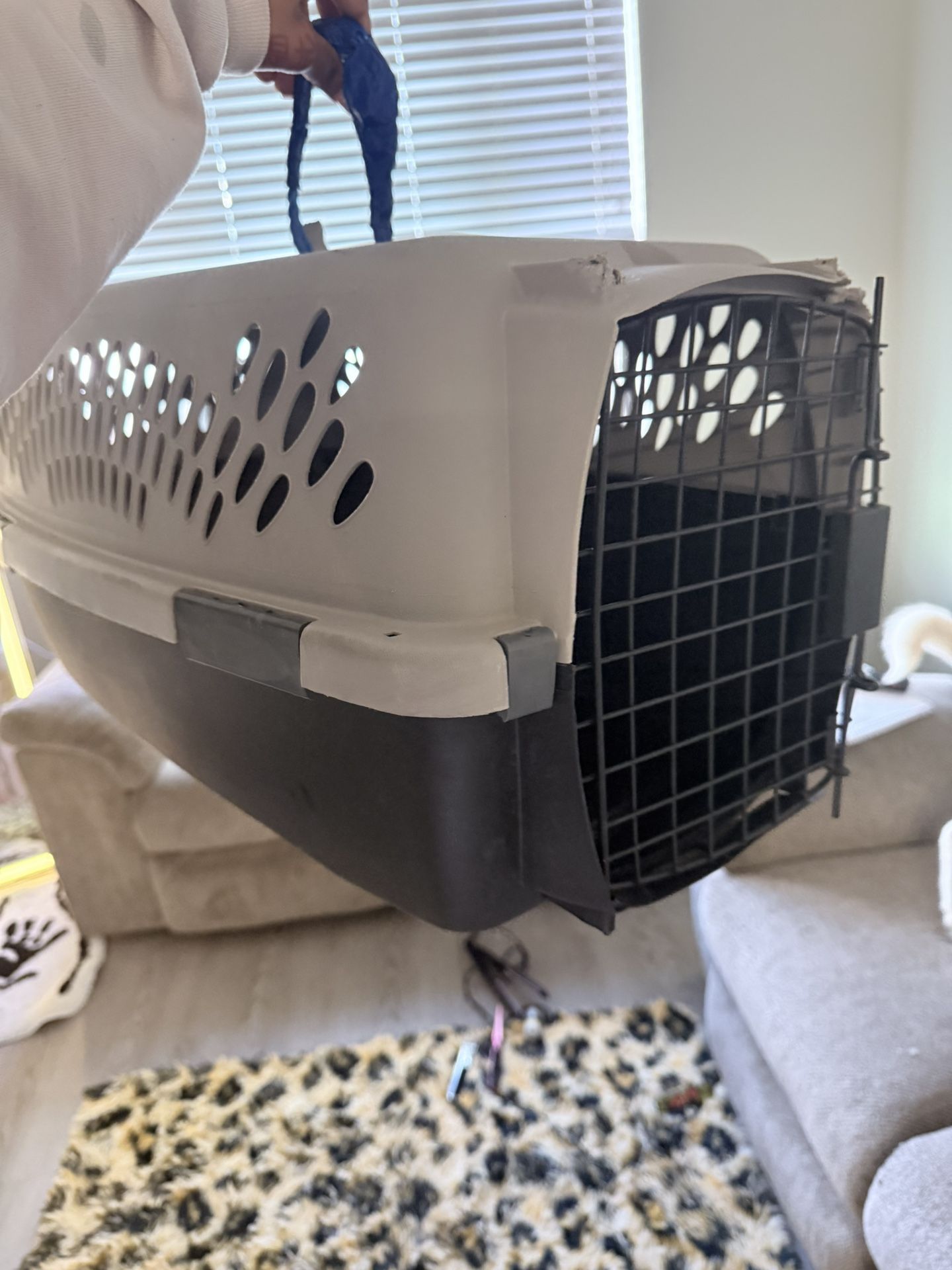 Small Dog Kennel