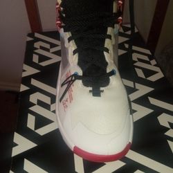 Why Not 2.0 Jordan Tennis Shoes 8.5