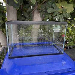 10 Gallon Fish Tank 