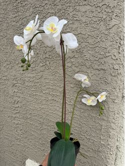 Artificial Orchid
