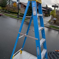 Werner 6' Step Ladder