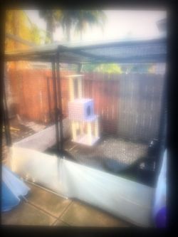 Dog Pen