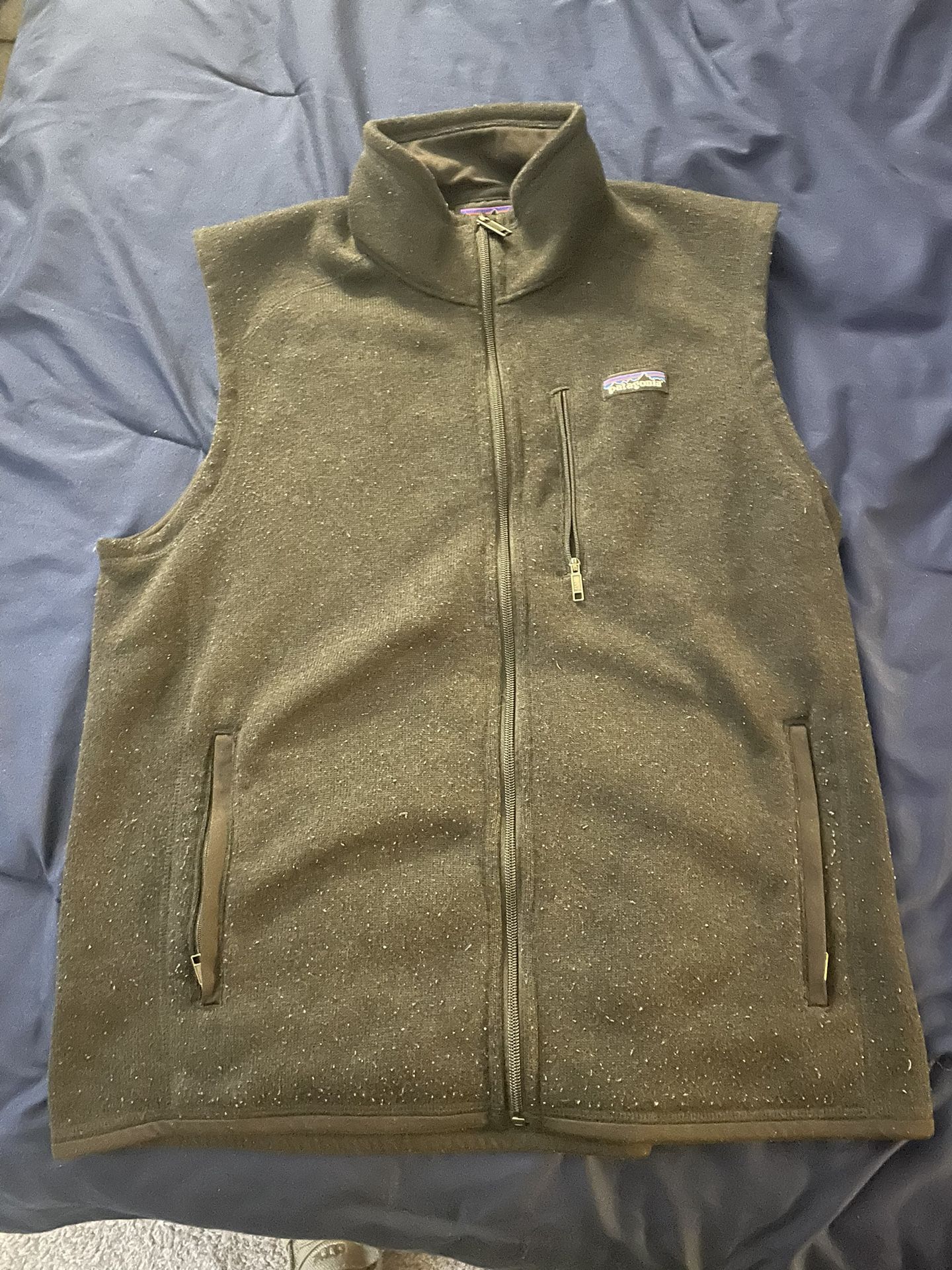 Patagonia Vest 