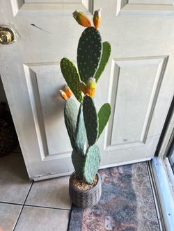 Artificial cactus