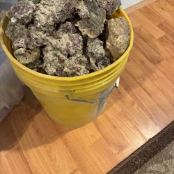 Bucket Of Saltwater Rocks