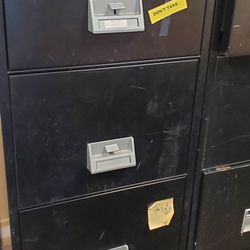 Fire Proof File Cabinet Schwab 1000
