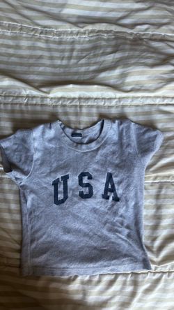 Brandy Melville USA Gray Baby Tee