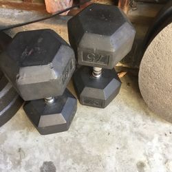 75 Lb. Dumbbells ( Weights )