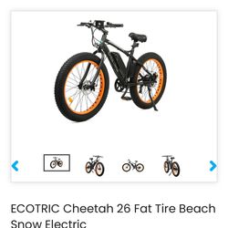 Cheetah Electric Bike 