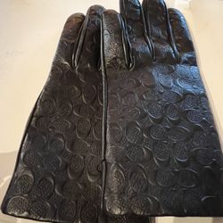 Leather Gloves 