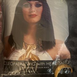 Queen Of The Nile/ Cleopatra Costume