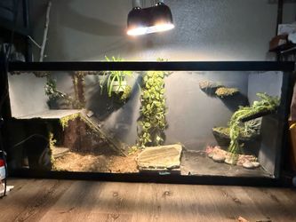 120 reptile terrarium