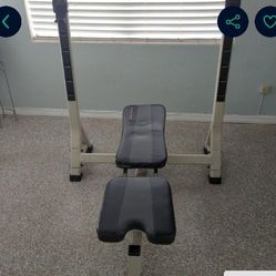 Olympic Size Weight Lifting Bench- Adjustable 