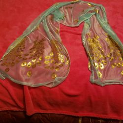 Beautiful Scarf/Shawl. 🆕