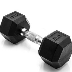Two 20 lb dumbbells — $40 for both