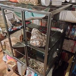 2 Chinchillas With Double Cage 