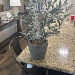 Fake Decor Plant $30