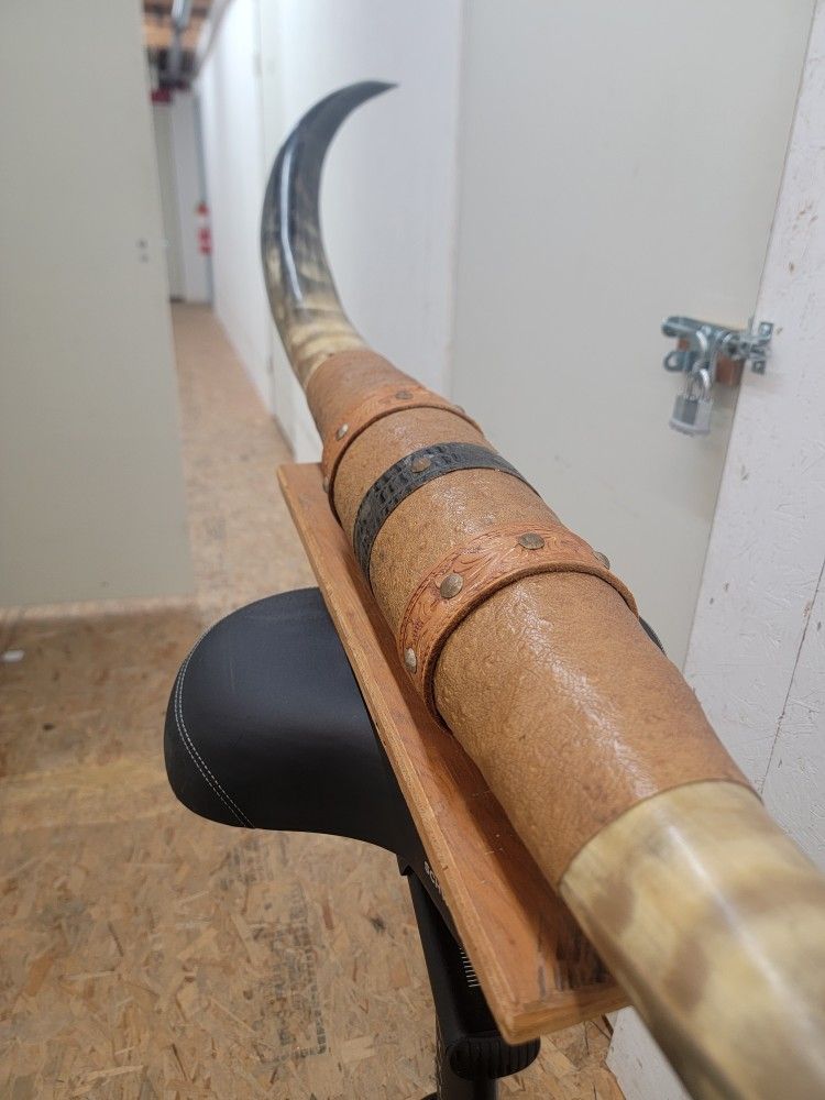 Texan Longhorns Mounted