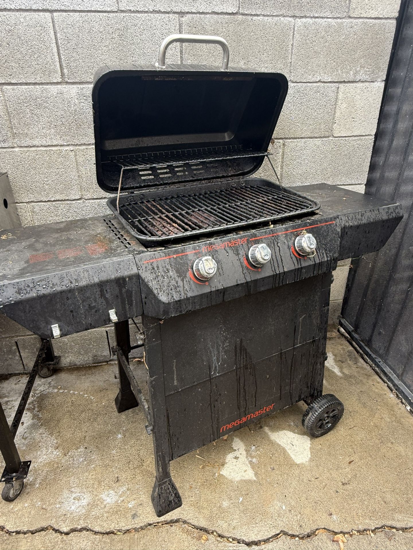 Propane BBQ Grill