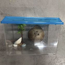 Plastic Terrariums for Reptiles, Crabs, Lizards, and More