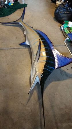 Swordfish blue marlin