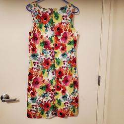 Dress size 8