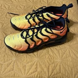 Brand New Never Worn Nike Vapor Max Plus