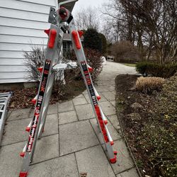 Little Giant Ladder
