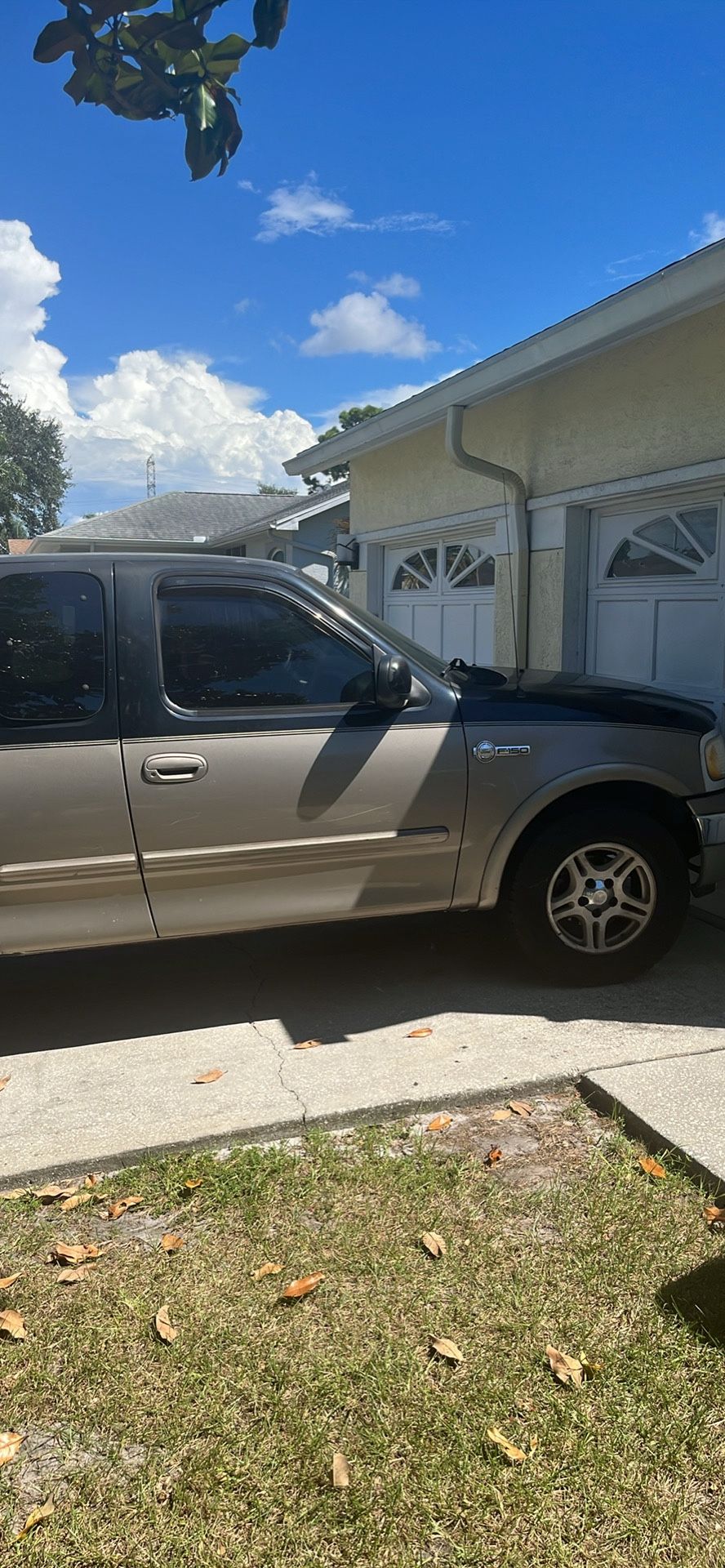 2003 Ford F-150