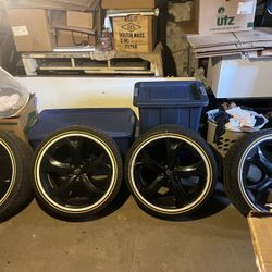 20 “ Venza With Vogue’s 