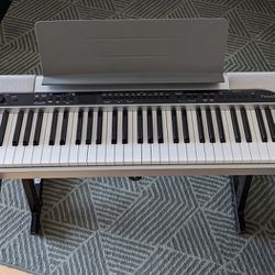 Casio Privia PX-31O Keyboard 