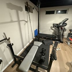 Workout Bench