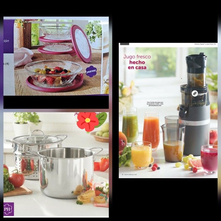 PAQUETE PRINCESS HOUSE INCLUYE OLLA VAPORERA DE 8 QT CLÁSICA Y EXTRACTOR COLD PRESS PRO VIDA SANA Y JUEGO DE 4 PLATOS WILDFLOWER CON TAPA 🌻🌾