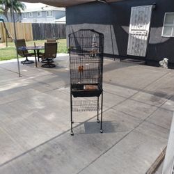 Bird Cage 