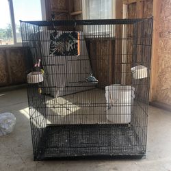 bird cage jaula 