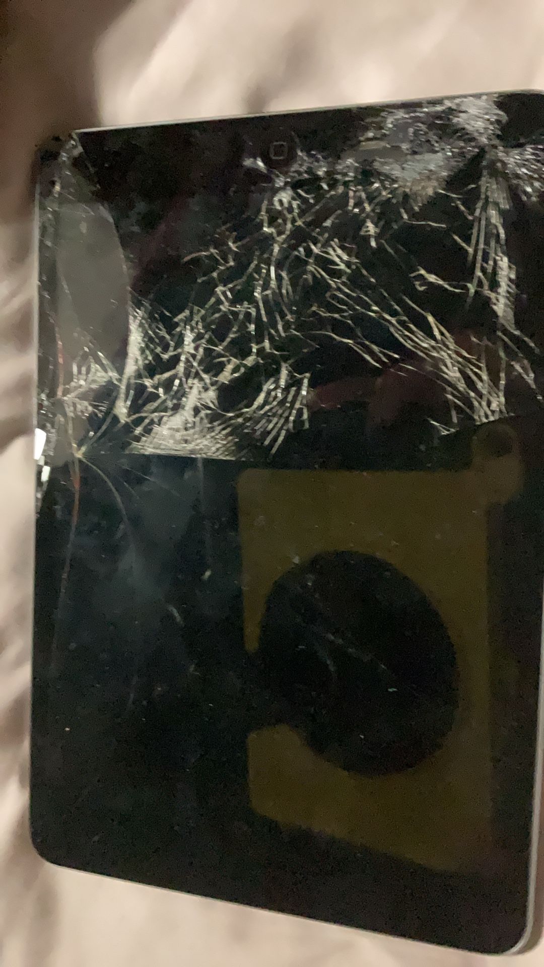 iPad Mini