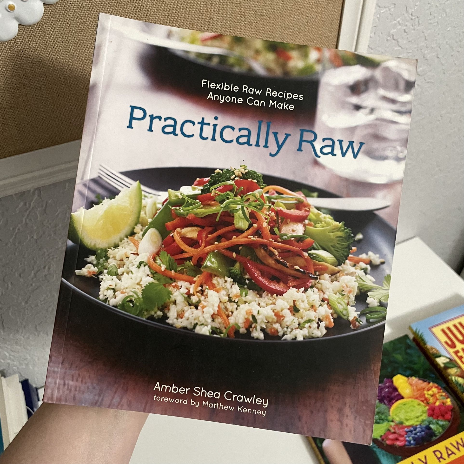 Practically Raw Cookbook