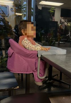 Inglesina table chair with Tray