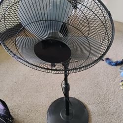 Fan