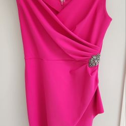 Dress Alex Evenings Ruched Cocktail Dress Fuschia Pink Size 10