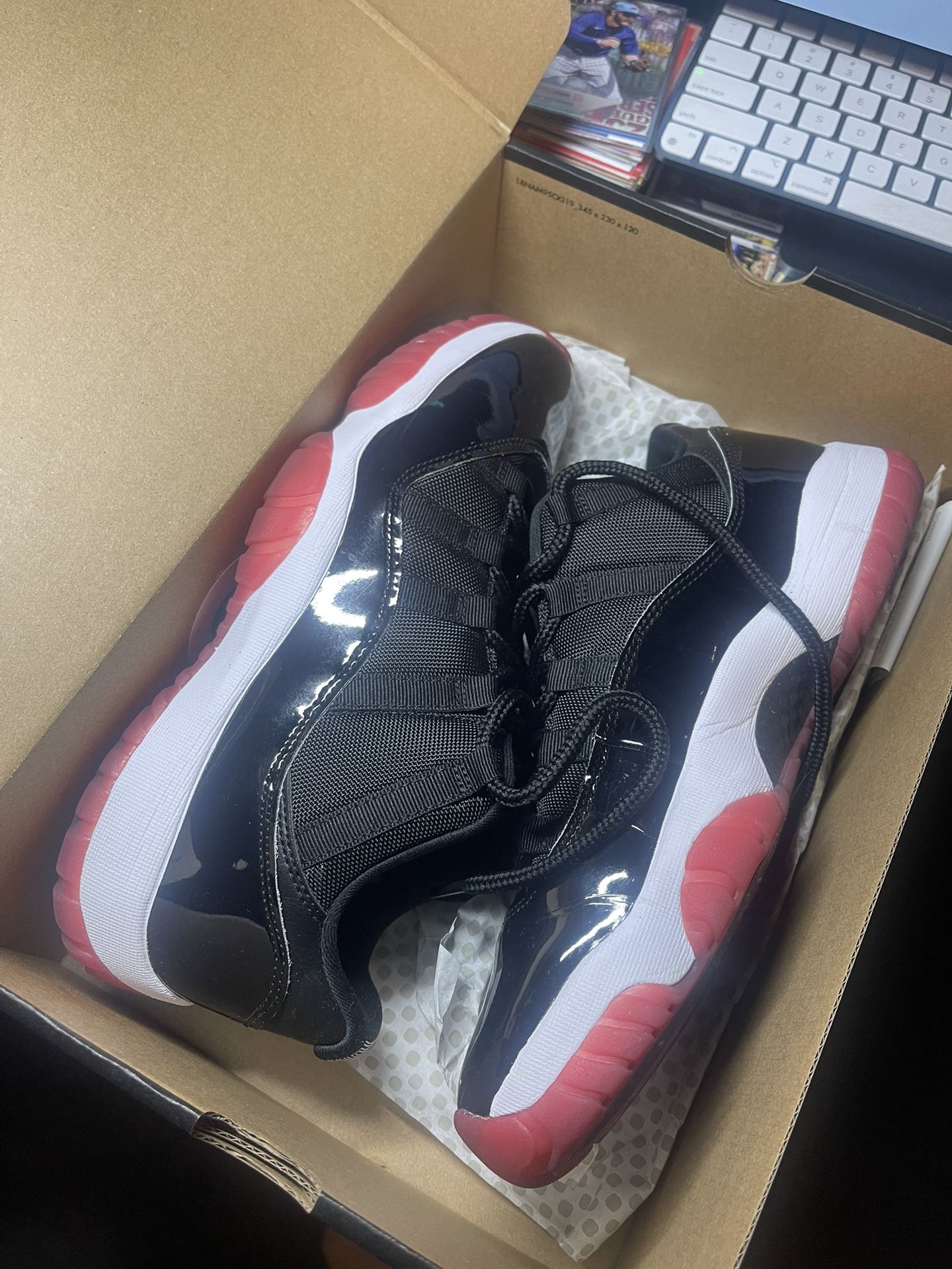 AIR JORDAN RETRO 11 Low Sz10.5
