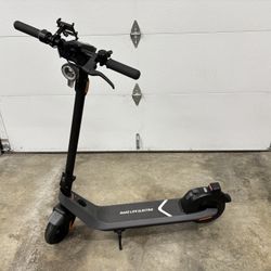 Electric Scooter NIU KQi2 Pro
