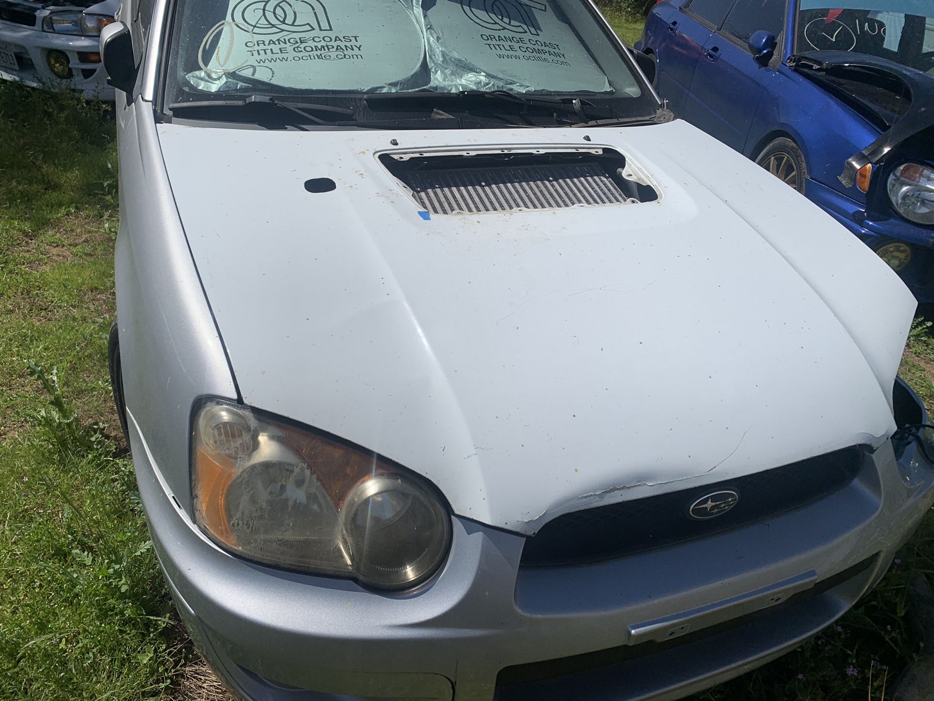 Wrx Hood Blobeye Wrx Sti