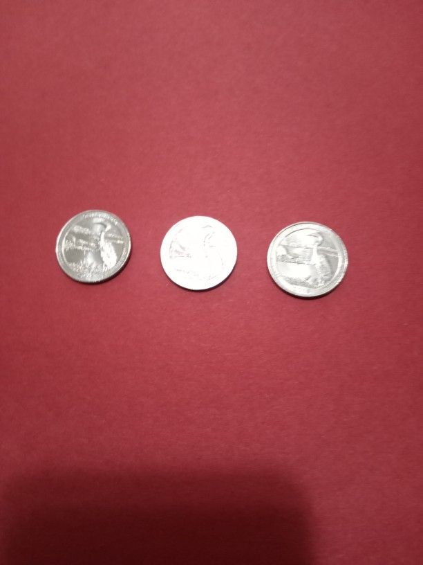 Rare Quarters