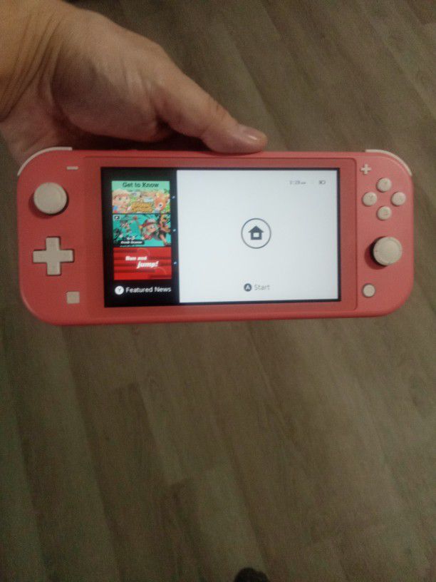 Switch Lite With Charger 