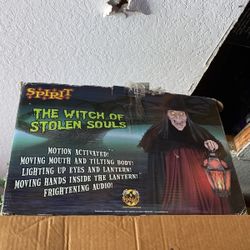 Rare Spirit Halloween Witch Of Stolen Souls Animatronic 
