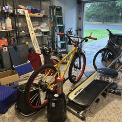 Se Bikes Savage Flyer (read Desc)