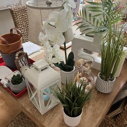 Home decor / Artificial Plants 