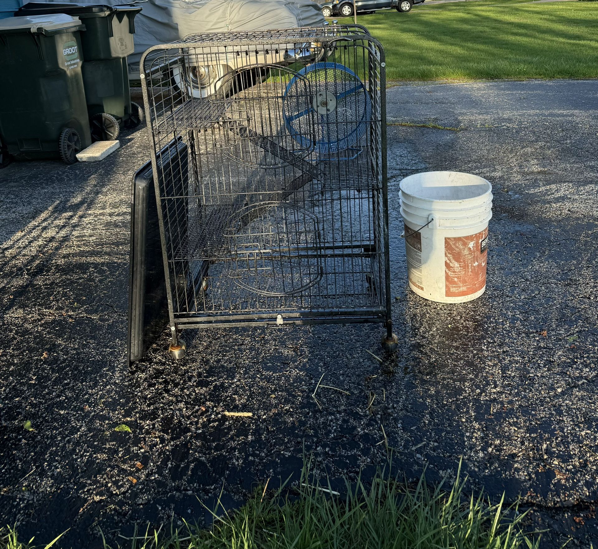 Chinchilla Cage