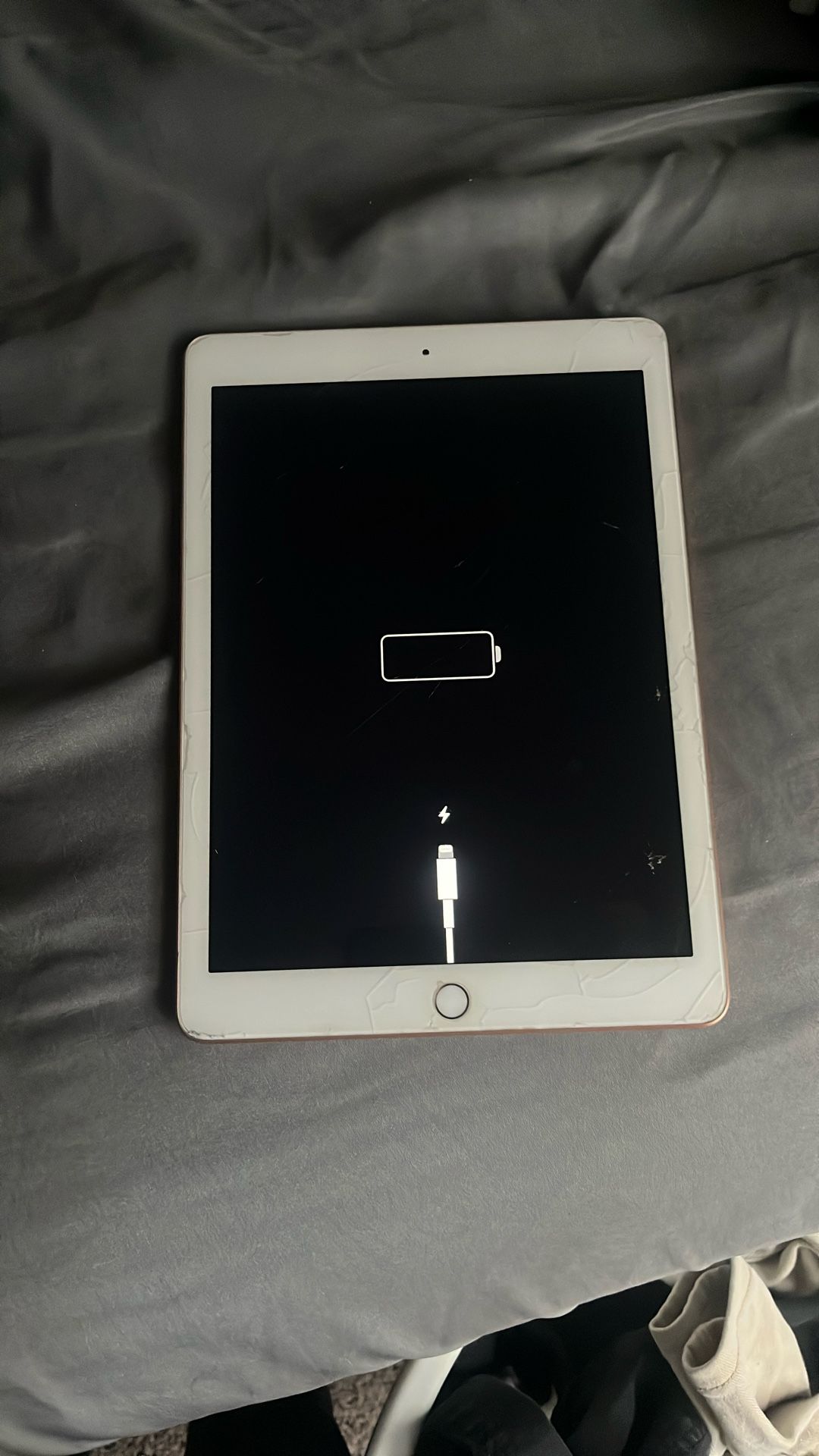 Ipad Rose Gold